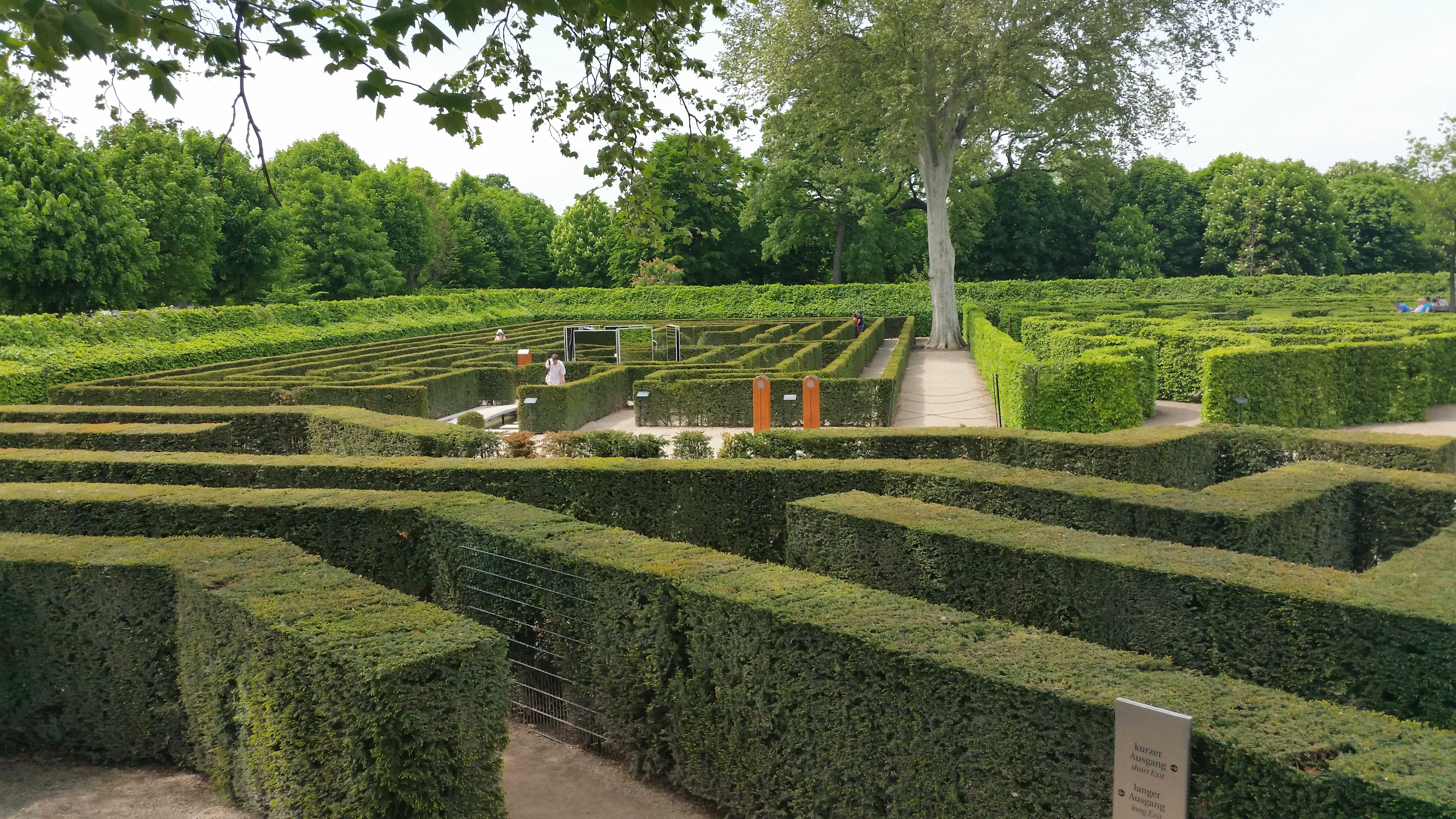 picture_of_the_mazes